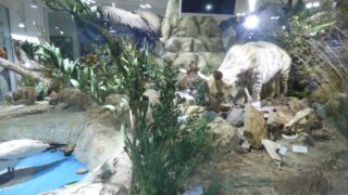 Visite pedagogique des etudiants histoire departement archeologie 04 janvier 2022 picture 12