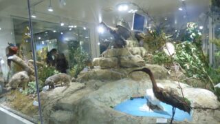 Visite pedagogique des etudiants histoire departement archeologie 04 janvier 2022 picture 13