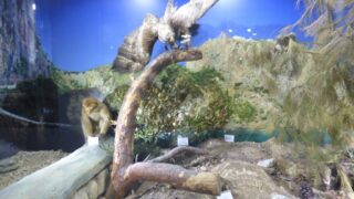 Visite pedagogique des etudiants histoire departement archeologie 04 janvier 2022 picture 14