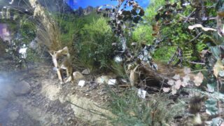 Visite pedagogique des etudiants histoire departement archeologie 04 janvier 2022 picture 15