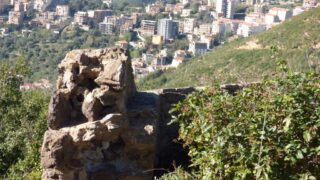 Visite pedagogique des etudiants histoire departement archeologie 04 janvier 2022 picture 93