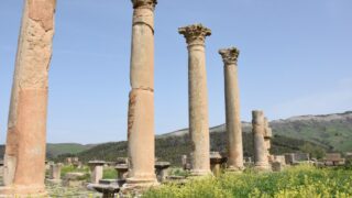 Sortie pedagogique a DJEMILA au profit des etudiants d architecture 24 mars 2022 0004