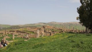 Sortie pedagogique a DJEMILA au profit des etudiants d architecture 24 mars 2022 0273