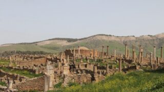 Sortie pedagogique a DJEMILA au profit des etudiants d architecture 24 mars 2022 0274