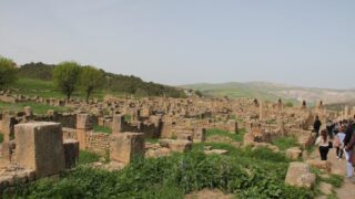 Sortie pedagogique a DJEMILA au profit des etudiants d architecture 24 mars 2022 0279