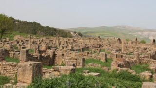 Sortie pedagogique a DJEMILA au profit des etudiants d architecture 24 mars 2022 0282