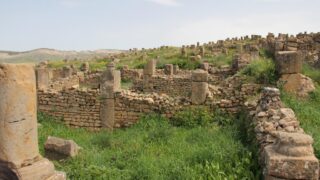 Sortie pedagogique a DJEMILA au profit des etudiants d architecture 24 mars 2022 0296