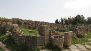 Sortie pedagogique a DJEMILA au profit des etudiants d architecture 24 mars 2022 0297