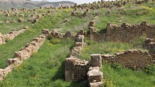 Sortie pedagogique a DJEMILA au profit des etudiants d architecture 24 mars 2022 0319