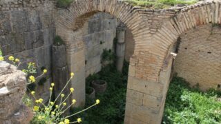 Sortie pedagogique a DJEMILA au profit des etudiants d architecture 24 mars 2022 0323