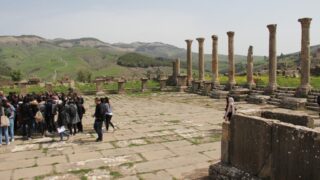 Sortie pedagogique a DJEMILA au profit des etudiants d architecture 24 mars 2022 0379