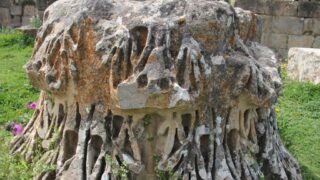 Sortie pedagogique a DJEMILA au profit des etudiants d architecture 24 mars 2022 0416