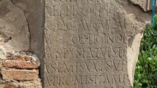 Sortie pedagogique a DJEMILA au profit des etudiants d architecture 24 mars 2022 0419