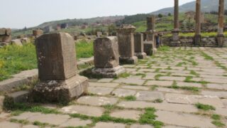 Sortie pedagogique a DJEMILA au profit des etudiants d architecture 24 mars 2022 0422