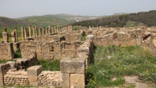 Sortie pedagogique a DJEMILA au profit des etudiants d architecture 24 mars 2022 0451