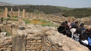 Sortie pedagogique a DJEMILA au profit des etudiants d architecture 24 mars 2022 0457