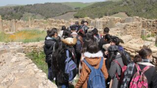 Sortie pedagogique a DJEMILA au profit des etudiants d architecture 24 mars 2022 0458