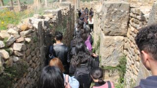 Sortie pedagogique a DJEMILA au profit des etudiants d architecture 24 mars 2022 0459