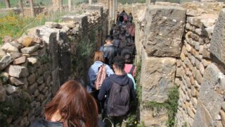 Sortie pedagogique a DJEMILA au profit des etudiants d architecture 24 mars 2022 0460