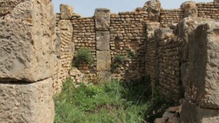 Sortie pedagogique a DJEMILA au profit des etudiants d architecture 24 mars 2022 0463