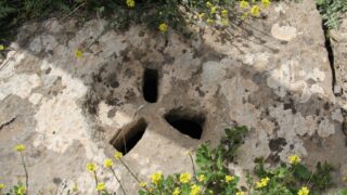 Sortie pedagogique a DJEMILA au profit des etudiants d architecture 24 mars 2022 0471