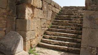 Sortie pedagogique a DJEMILA au profit des etudiants d architecture 24 mars 2022 0478