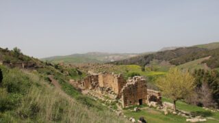 Sortie pedagogique a DJEMILA au profit des etudiants d architecture 24 mars 2022 0497