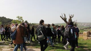 Sortie pedagogique a DJEMILA au profit des etudiants d architecture 24 mars 2022 0688