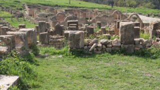 Sortie pedagogique a DJEMILA au profit des etudiants d architecture 24 mars 2022 0731