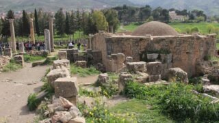 Sortie pedagogique a DJEMILA au profit des etudiants d architecture 24 mars 2022 0732