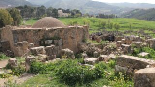 Sortie pedagogique a DJEMILA au profit des etudiants d architecture 24 mars 2022 0733