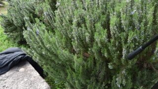 Sortie pedagogique a bordj moussa et casbah au profit des etudiants d architecture palier L1 13 mars 2022 177