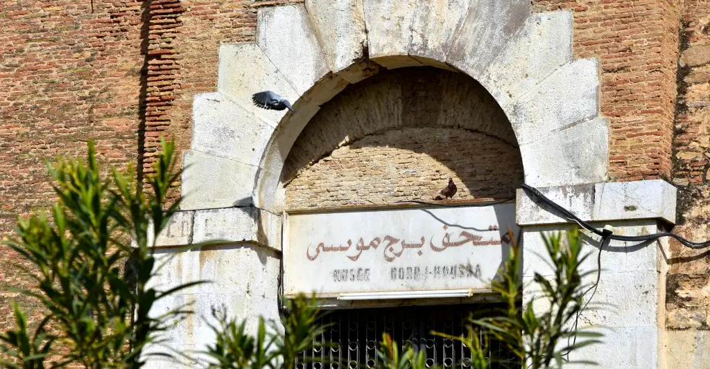 Sortie pédagogique au musée Bordj Moussa au profit des étudiants L1 architecture