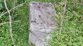 Sortie pedagogique au site antique tubusuptu tiklat au profit des etudiants L1 architecture 27 02 2022032