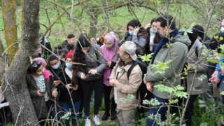 Sortie pedagogique au site antique tubusuptu tiklat au profit des etudiants L1 architecture 27 02 2022038