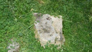 Sortie pedagogique au site antique tubusuptu tiklat au profit des etudiants L1 architecture 27 02 2022043