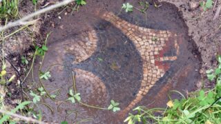 Sortie pedagogique au site antique tubusuptu tiklat au profit des etudiants L1 architecture 27 02 2022061