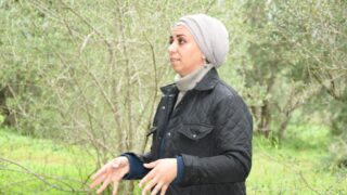 Sortie pedagogique au site antique tubusuptu tiklat au profit des etudiants L1 architecture 27 02 2022088