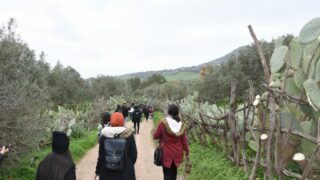 Sortie pedagogique au site antique tubusuptu tiklat au profit des etudiants L1 architecture 27 02 2022090