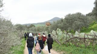 Sortie pedagogique au site antique tubusuptu tiklat au profit des etudiants L1 architecture 27 02 2022091