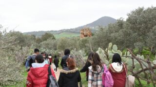 Sortie pedagogique au site antique tubusuptu tiklat au profit des etudiants L1 architecture 27 02 2022094