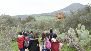 Sortie pedagogique au site antique tubusuptu tiklat au profit des etudiants L1 architecture 27 02 2022095