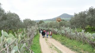 Sortie pedagogique au site antique tubusuptu tiklat au profit des etudiants L1 architecture 27 02 2022097