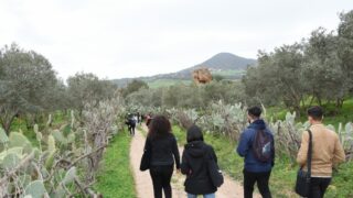 Sortie pedagogique au site antique tubusuptu tiklat au profit des etudiants L1 architecture 27 02 2022098