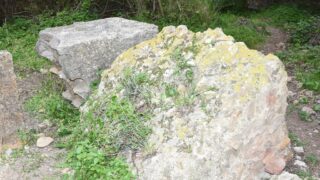 Sortie pedagogique au site antique tubusuptu tiklat au profit des etudiants L1 architecture 27 02 2022105