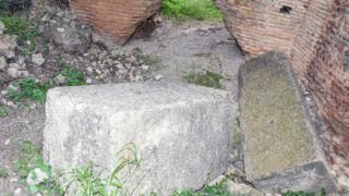 Sortie pedagogique au site antique tubusuptu tiklat au profit des etudiants L1 architecture 27 02 2022106