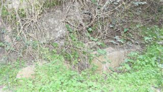 Sortie pedagogique au site antique tubusuptu tiklat au profit des etudiants L1 architecture 27 02 2022108