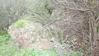 Sortie pedagogique au site antique tubusuptu tiklat au profit des etudiants L1 architecture 27 02 2022109