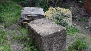 Sortie pedagogique au site antique tubusuptu tiklat au profit des etudiants L1 architecture 27 02 2022110