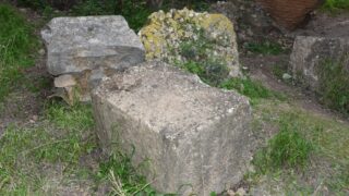 Sortie pedagogique au site antique tubusuptu tiklat au profit des etudiants L1 architecture 27 02 2022111